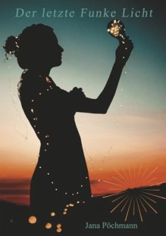 Cover Der letzte Funke Licht