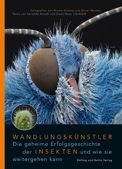 Wandlungskünstler. Die geheime Erfolgsgeschichte der Insekten und wie sie weitergehen kann - Straaß, Veronika;Lieckfeld, Claus-Peter