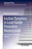 Exciton Dynamics in Lead Halide Perovskite Nanocrystals (eBook, PDF)