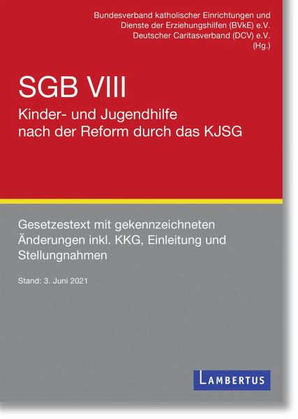 SGB VIII - Kinder- und Jugendhilfe nach der Reform durch das KJSG -  Fachbuch - bücher.de