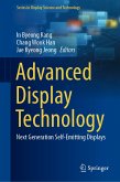 Advanced Display Technology (eBook, PDF)