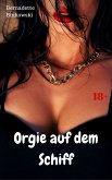 Orgie auf dem Schiff (eBook, ePUB)