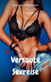 Versaute Sexreise (eBook, ePUB)