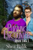 Puzzling Encounter (Mystic Pines, #3) (eBook, ePUB)