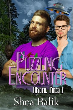Puzzling Encounter (Mystic Pines, #3) (eBook, ePUB) - Balik, Shea