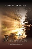 Too Late for Redemption (eBook, ePUB)