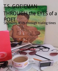 THROUGH the EYES of a POET (eBook, ePUB) - GOEIEMAN, T.S.