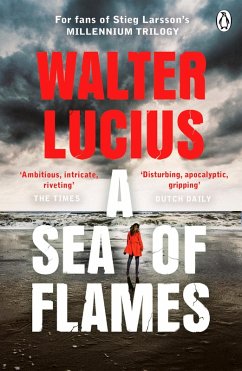 Cover A Sea of Flames (eBook, ePUB)