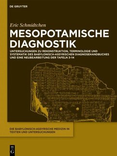 Mesopotamische Diagnostik (eBook, PDF) - Schmidtchen, Eric