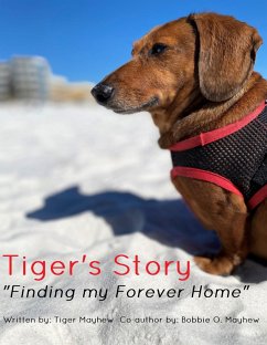 Tiger's Story 