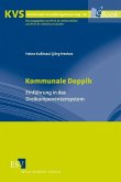 Kommunale Doppik (eBook, PDF)