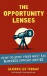 The Opportunity Lenses: How to Spot... - Bild 1