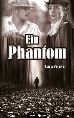 Ein Phantom (eBook, ePUB) - Nisker, Lara