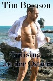 Cruising an der Ostsee (eBook, ePUB) Cruising an der Ostsee (eBook, ePUB)