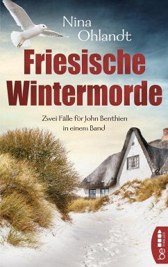 Friesische Wintermorde (eBook, ePUB) - Ohlandt, Nina