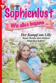 Der Kampf um Lilly (eBook, ePUB)