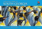 A Visitor's Guide to South Georgia (eBook, ePUB)