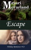 Escape (Holiday Romances, #22) (eBook, ePUB)