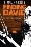 Finding David (eBook, ePUB)