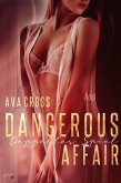 Dangerous Affair: Doppeltes Spiel (eBook, ePUB)