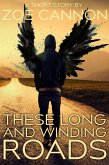 These Long and Winding Roads (eBook, ePUB)