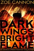 Dark Wings, Bright Flame (eBook, ePUB) Dark Wings, Bright Flame (eBook, ePUB)