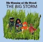 The Big Storm (The Weenies of the Wood Adventures) (eBook, ePUB)