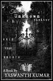 The Unknown Visitor (eBook, ePUB)
