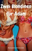 Zwei Blondinen für Adam (eBook, ePUB)