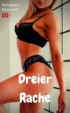 Dreier Rache (eBook, ePUB)