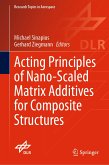 Acting Principles of Nano-Scaled Matrix Additives for Composite Structures (eBook, PDF)