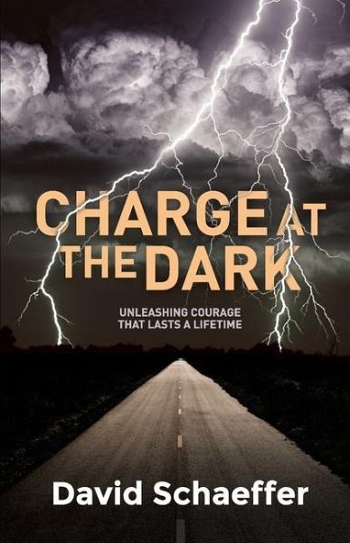 Charge at the Dark Charge at the Dark