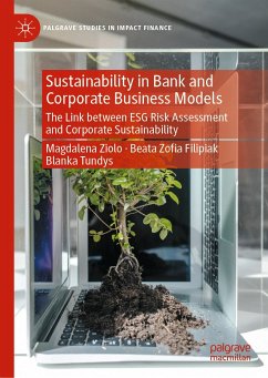 Sustainability in Bank and Corporate Business Models (eBook, PDF) - Ziolo, Magdalena; Filipiak, Beata Zoﬁa; Tundys, Blanka