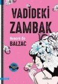Vadideki Zambak Vadideki Zambak