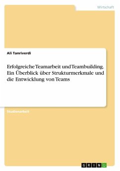 Erfolgreiche Teamarbeit und Teambuilding. Ein Überblick über Strukturmerkmale und die Entwicklung von Teams - Tanriverdi, Ali