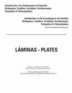 Introduccion a los saltamontes de Colombia (Laminas-Plates) - Cadena-Castañeda, Oscar J.; Cardona-Granda, Juan Manuel