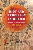 Riot and Rebellion in Mexico: The Making of a Race War Paradigm