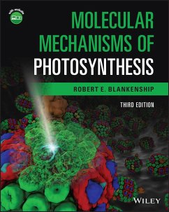 Molecular Mechanisms of Photosynthesis - Blankenship, Robert E.