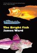 The Bright Fish - Bild 1