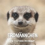 Erdmännchen