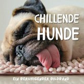 Chillende Hunde