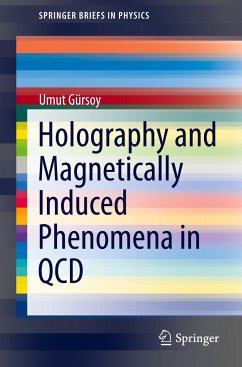 Holography and Magnetically Induced Phenomena in QCD - Gürsoy, Umut