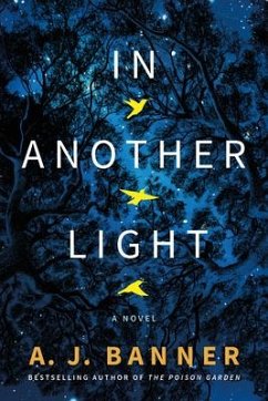 In Another Light - Banner, A. J.