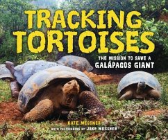 Tracking Tortoises - Messner, Kate