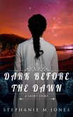 Dark Before the Dawn (eBook, ePUB)