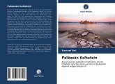 Paläozän Kalkstein