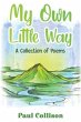 My Own Little Way - Bild 1