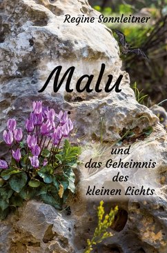 Malu und das Geheimnis des kleinen Lichts - Sonnleitner, Regine