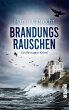 Brandungsrauschen (eBook, ePUB) - Bild 1