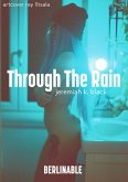 Through The Rain (eBook, ePUB)